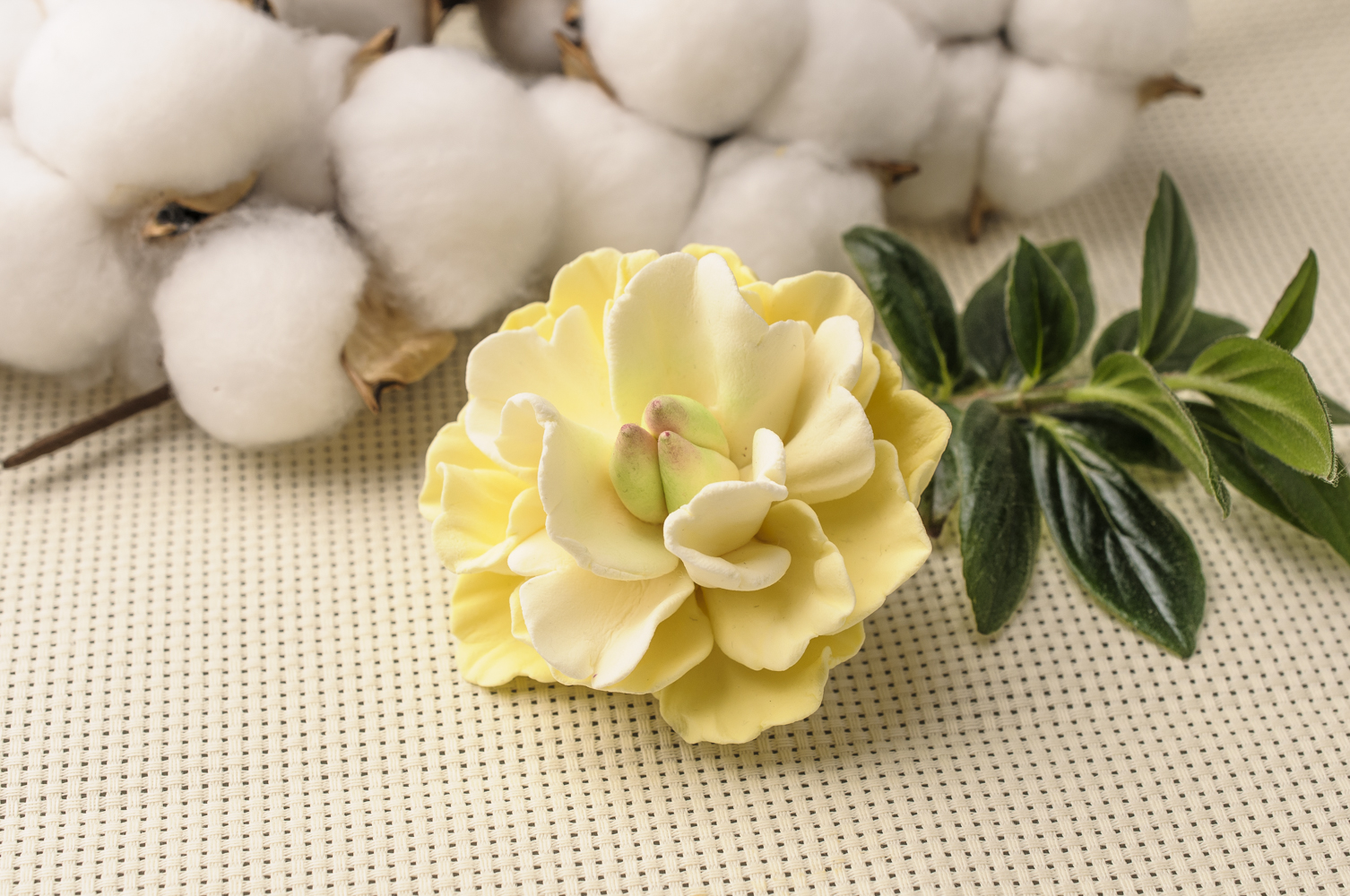 10212 Форма "Пион Мадагаскар S" силикон HobbyPage 