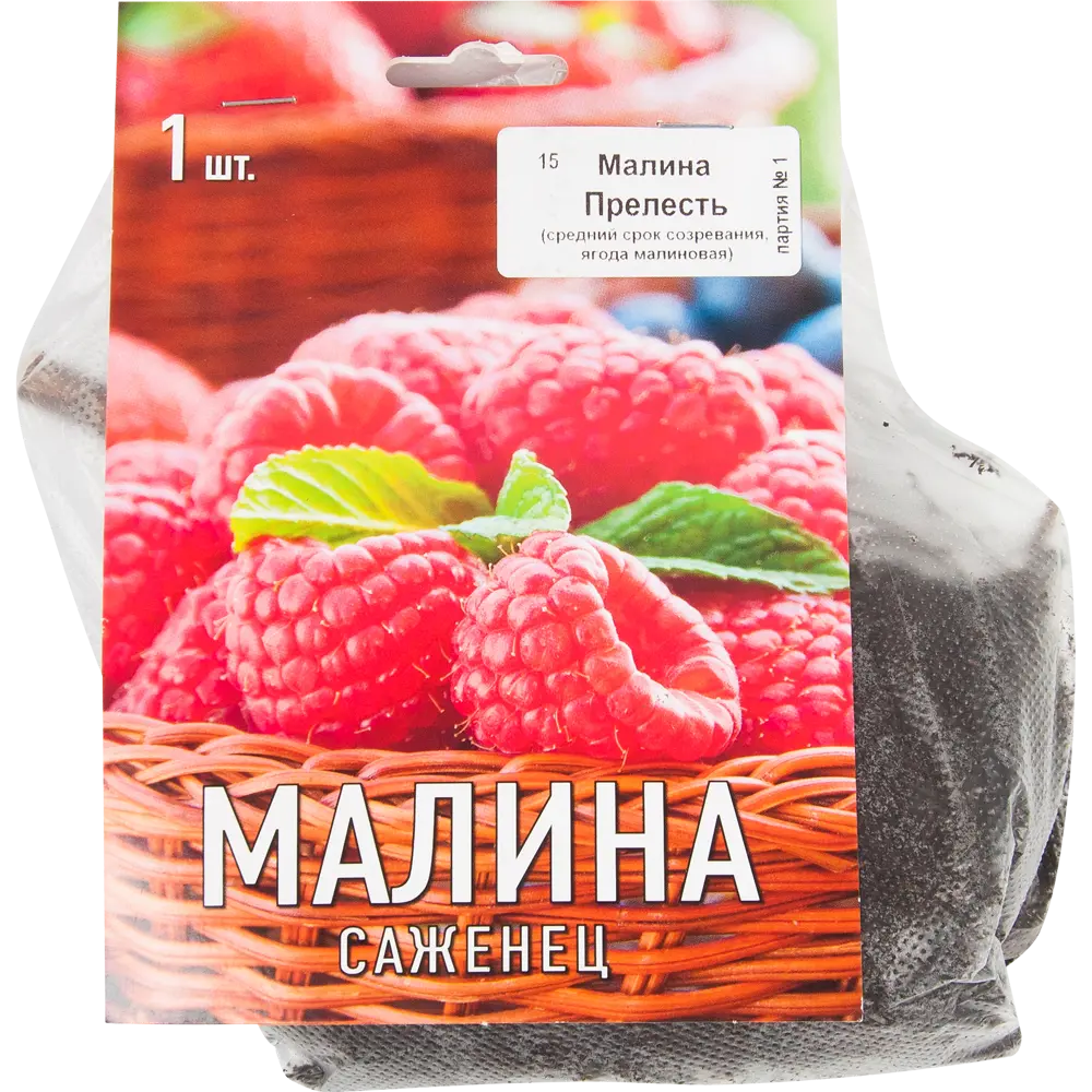 Малина Перспективные сорта Прелесть 82529021 STLM-2193384 Santreyd 