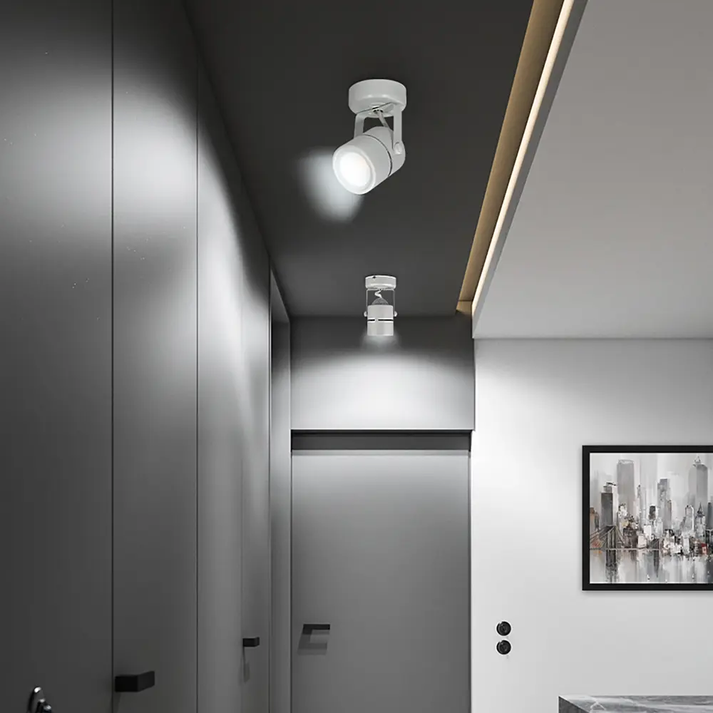 Поворотный спот Ritter Arton для точечного освещения интерьера 83978834 STLM-0045687 - Вид №10