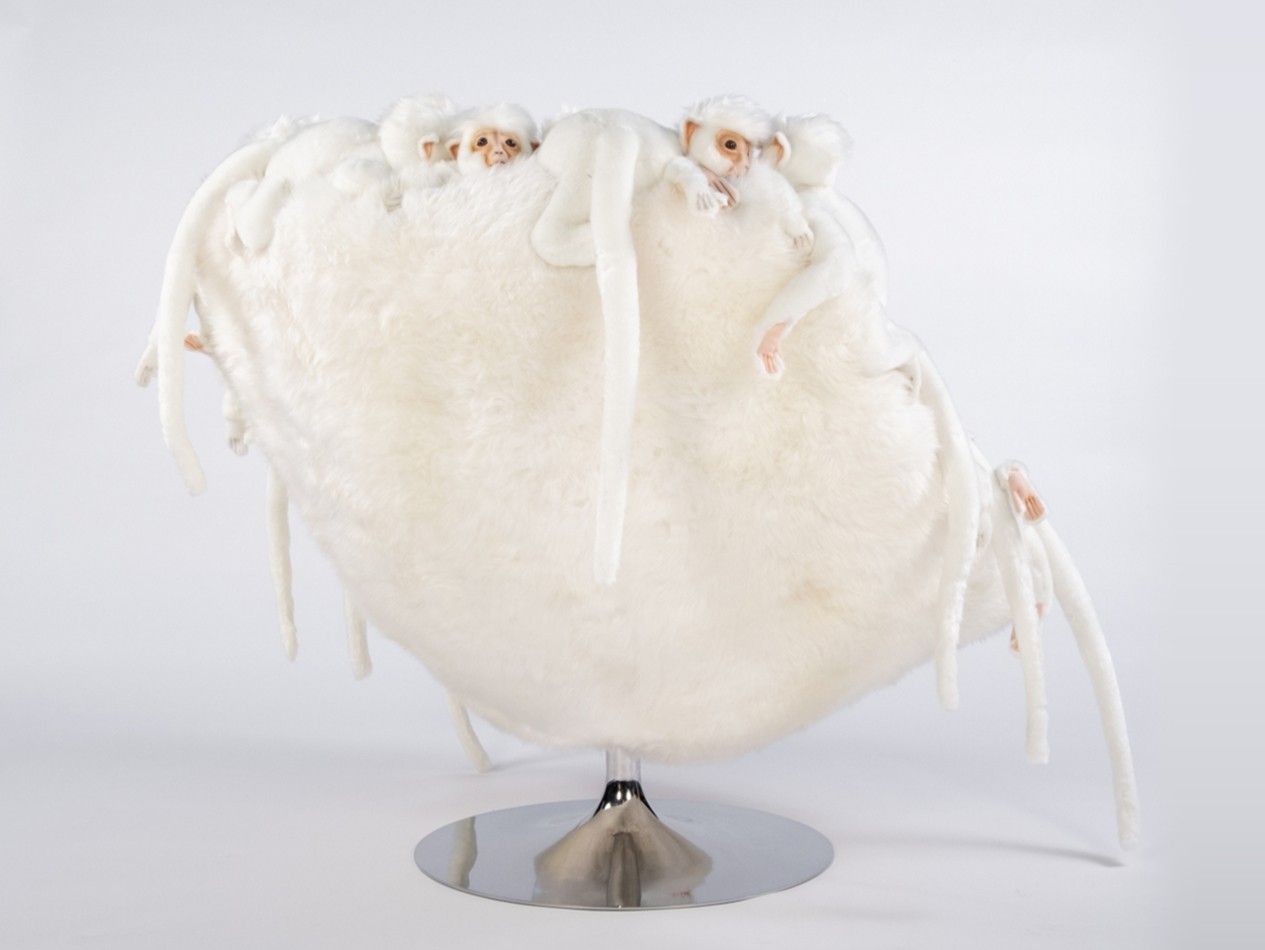 Полиэфирное кресло APCOLLECTION WHITE MONKEY ARCH-00098078 - Вид №1