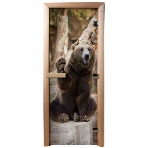 DoorWood Дверь с фотопечатью А061