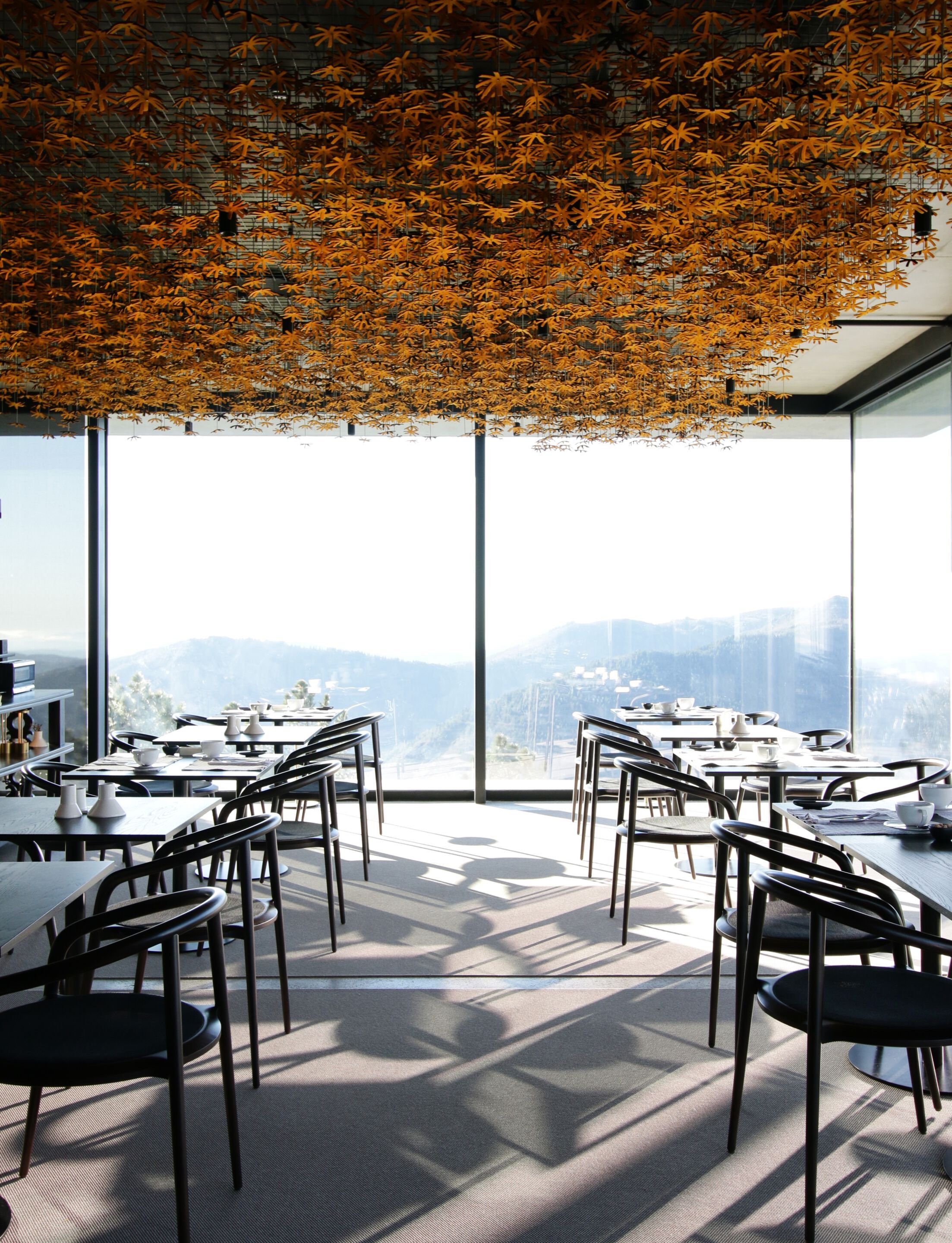 Стул из бука с подлокотниками Branca Lisboa ARANHA ARCH-00062003 - Вид №5