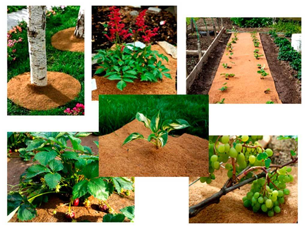 Круг приствольный Мульчаграм 90 см, комплект - 5шт ГеоПластБорд GPBST-246 - Вид №12