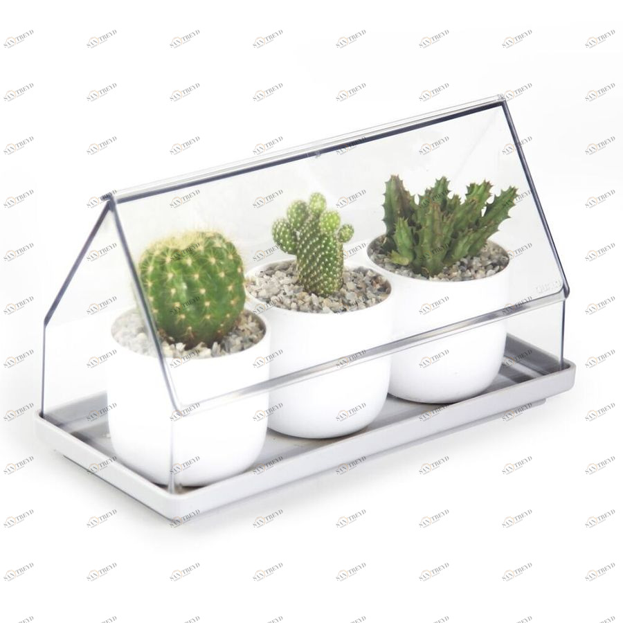 Лоток для выращивания растений Micro Green House прозрачный Qualy QL10310CLGN