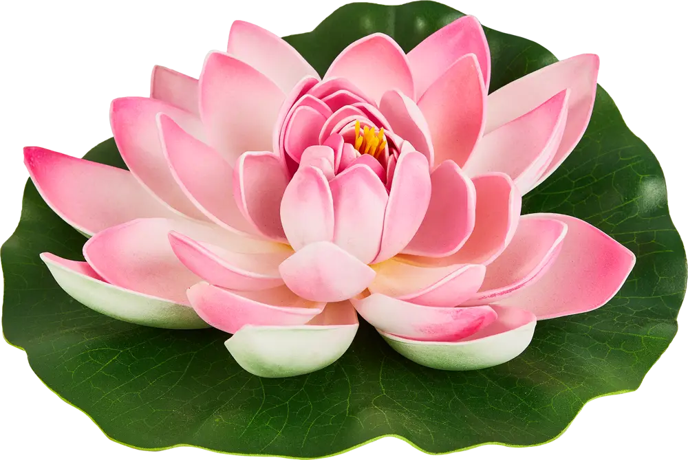 ECOTEC Лотос для водоема - элегантное украшение пруда 86870415