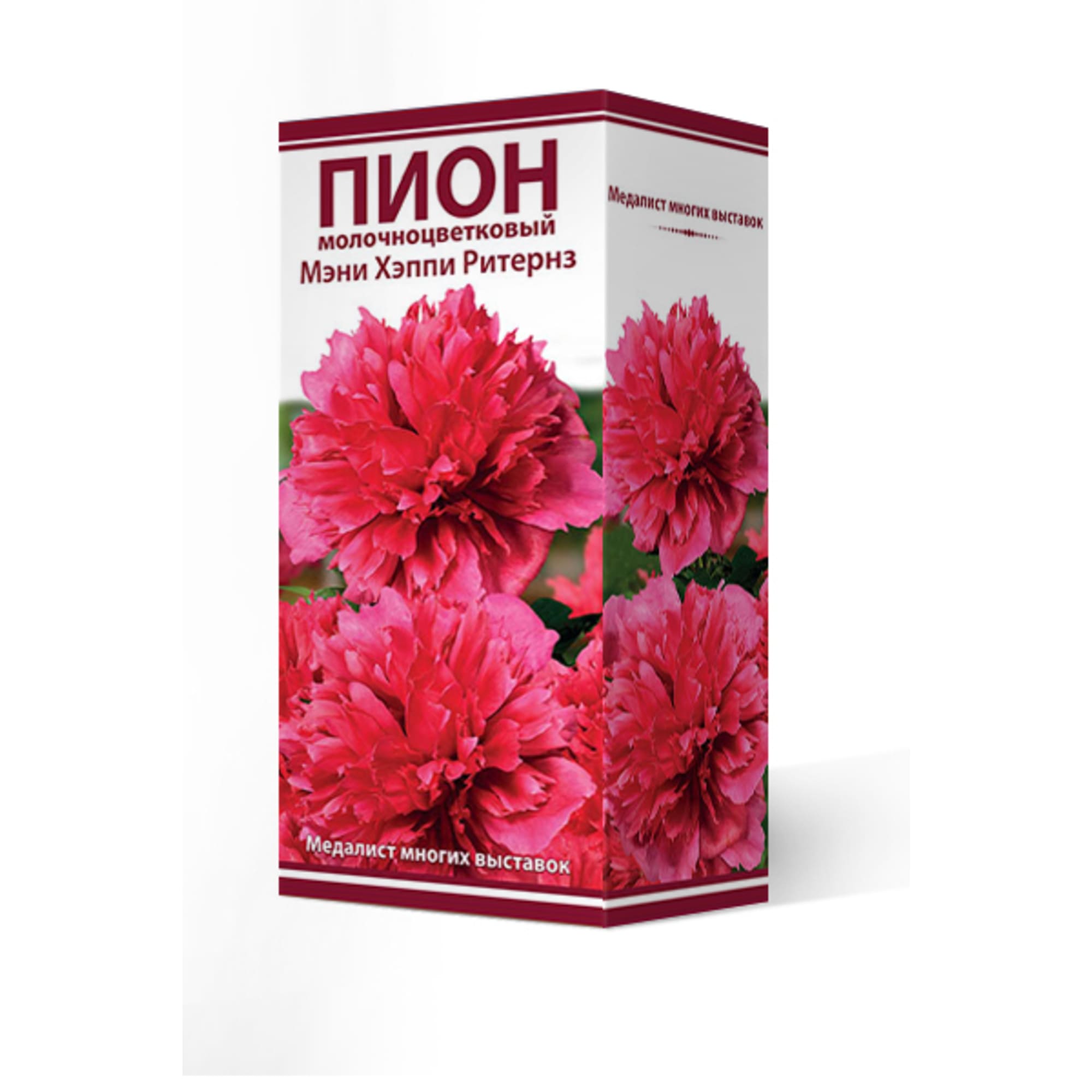 83600259 Пион травянистый Мэни Хэппи Ритернз луковица 2-3 Santreyd 