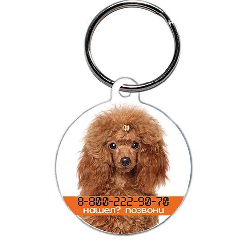 ПР0041342 Адресник круглый Пудель MYGUARDIAN 