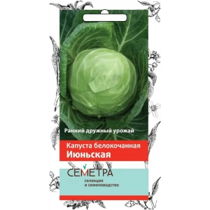 Семена Капуста белокочанная «Июньская» 83147346 STLM-2171249