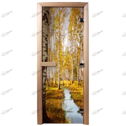 DoorWood Дверь с фотопечатью А082 5566