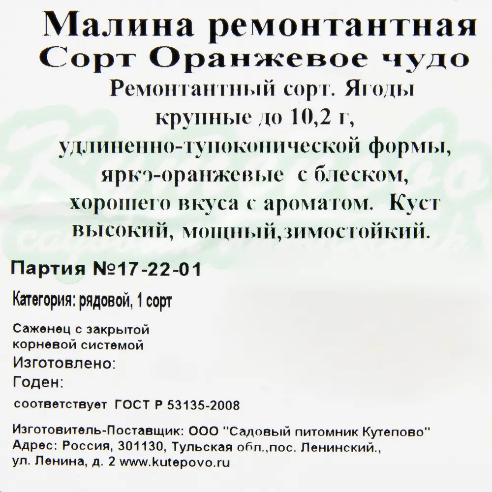 Малина «Оранжевое чудо» С2 40 см 82237803 STLM-2106609 Santreyd 