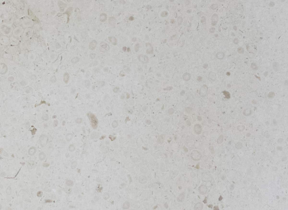 Подвесной шкаф для ванной комнаты с ящиками COCOON Piet Boon ARCH-00147311 - Вид №8