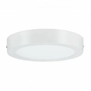 Потолочный светодиодный светильник Paulmann Nox 50009 PAULMANN NOX 204173 Белый