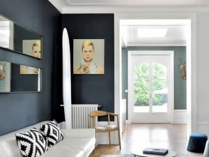 Ressource Моющаяся краска на водной основе Inspiration