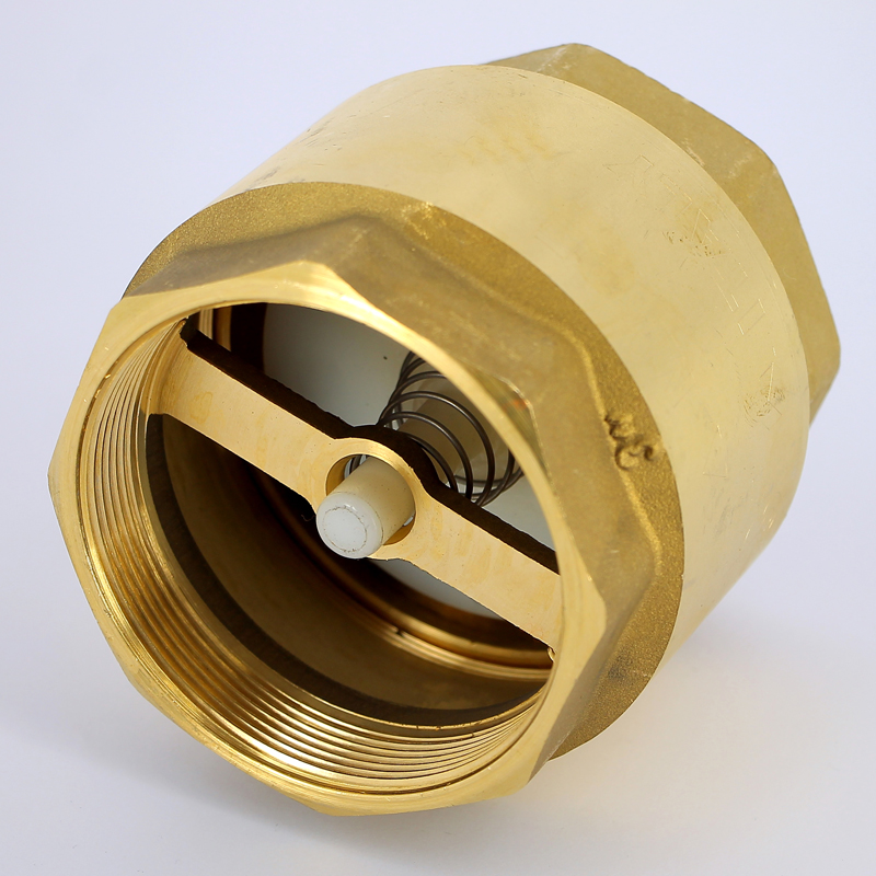 Клапан обратный пружинный EURA EXPORT с пластиковым затвором F.I.V. 3" FIV 08030300 - Вид №1