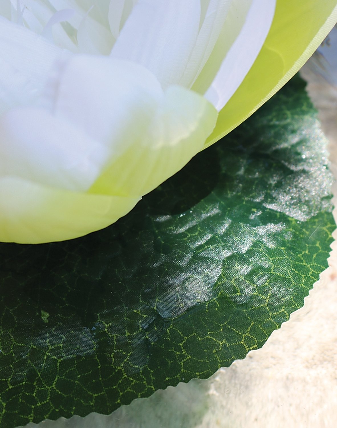 3865 778 a3 Шелковая кувшинка, плавающая, Ø 15 см, бежево-белая H-andreas  - Вид №4