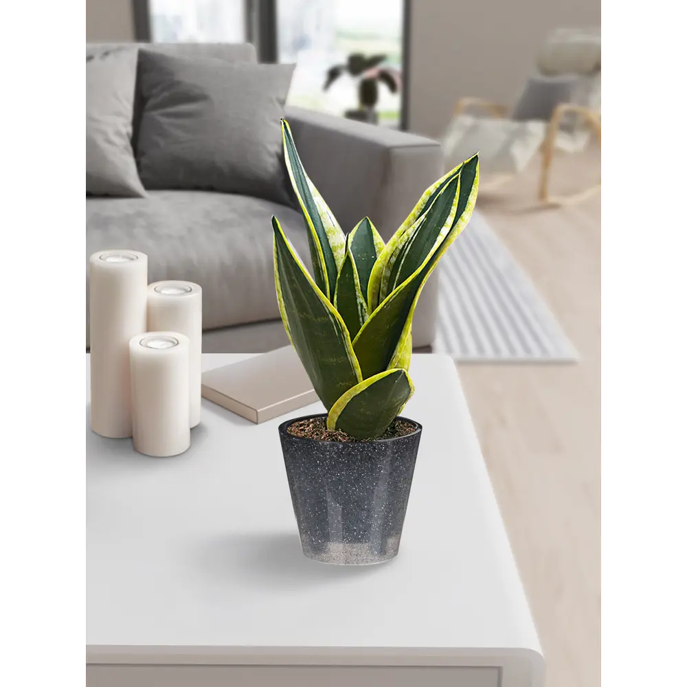 IDI LAND Кашпо London светло-серое с системой терморегуляции 83994180 STLM-0045978 - Вид №3