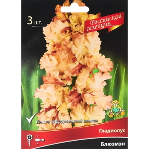 Гладиолус Блюзмэн, 3 шт 86410055 STLM-2006977