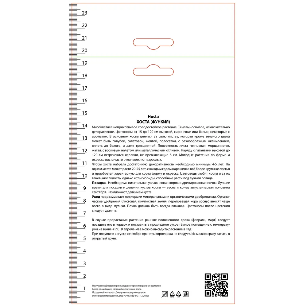 Хоста гибридная Лэйксайд Мэверик 89452435 STLM-2075605 ПОИСК 