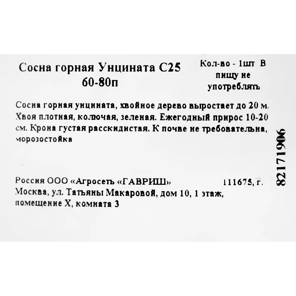 Сосна горная «Унцината» C25 60-80 см 82171906 STLM-2203794 ГАВРИШ  - Вид №1