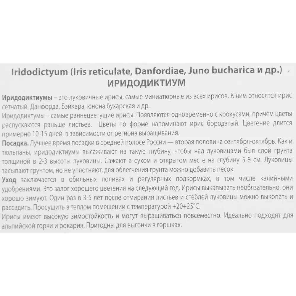 Ирис сетчатый Катарина ходжкин луковица 6/7, 10 шт. 88294653 STLM-2006125 Santreyd  - Вид №2