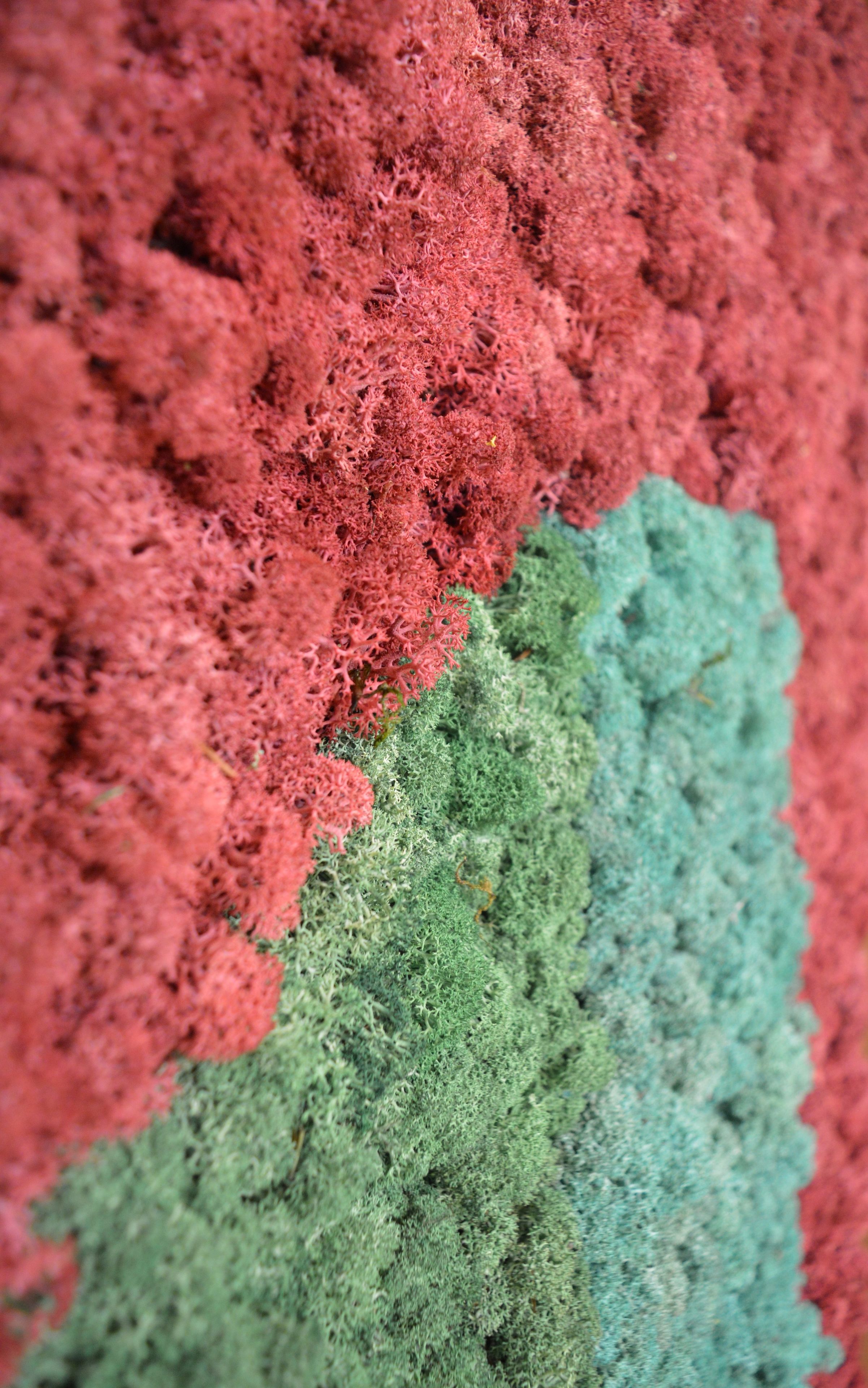 Акустическая панель из мха GREENMOOD FRAMED GEOMETRIC ARCH-00124960 - Вид №20