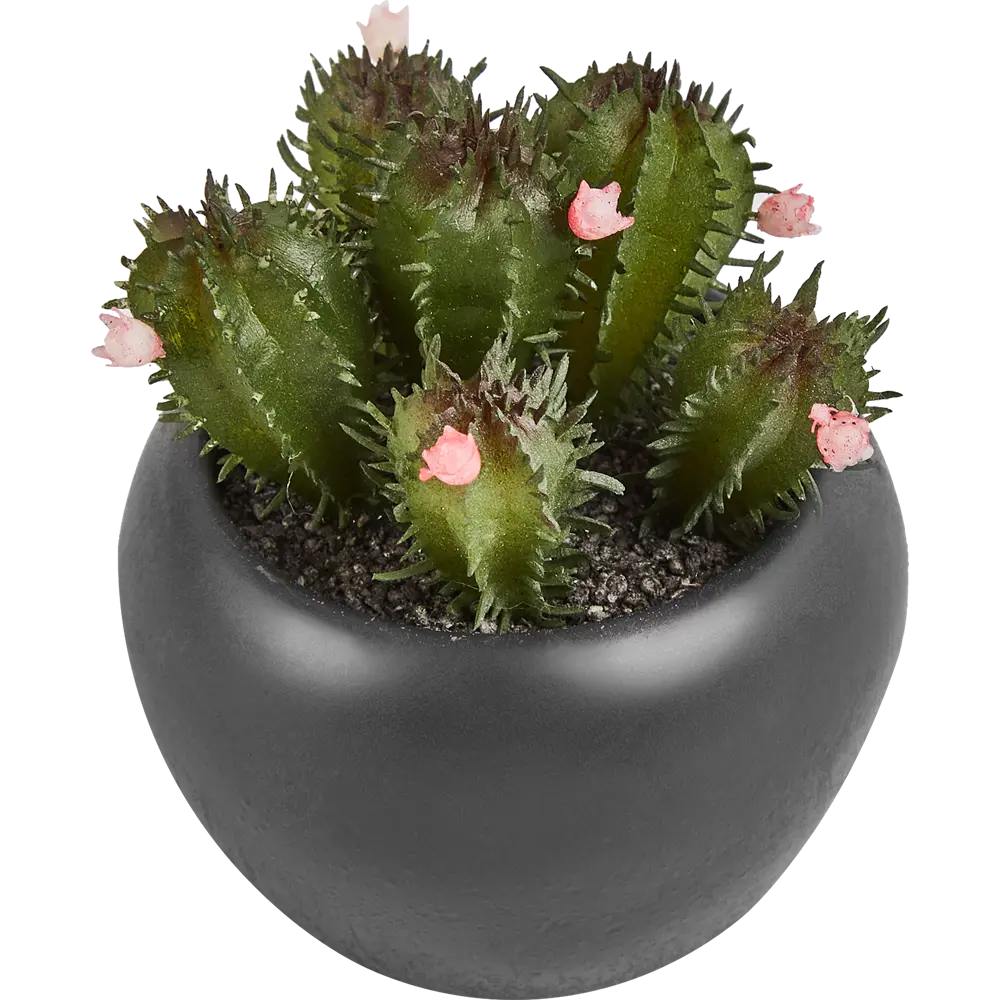Искусственное растение в пластиковом горшке Atmosphera Кактус D6.3x11.5 см микс 87051746 STLM-2119665  - Вид №6