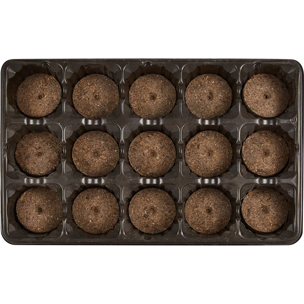 Santreyd Мини-парник для рассады с торфяными таблетками 15 ячеек 89344807 STLM-0965754 - Вид №4