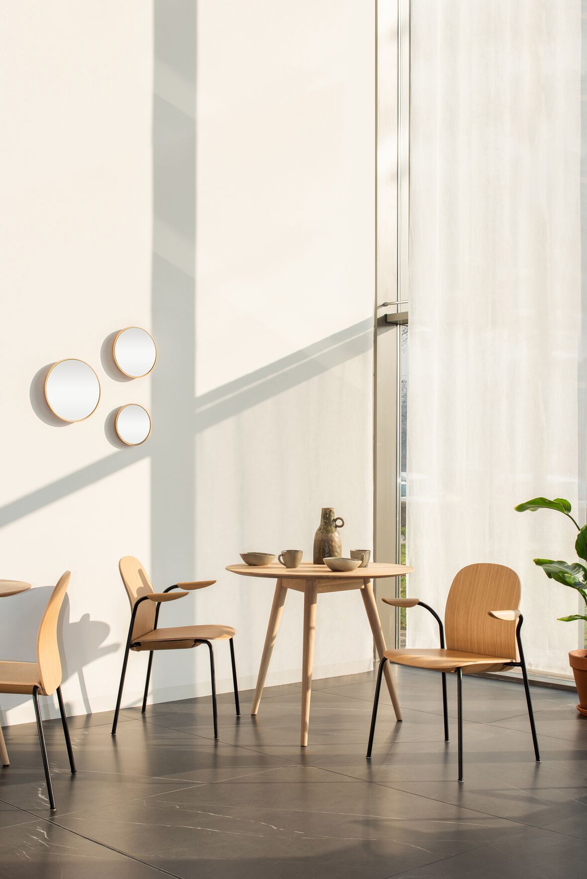 Штабелируемый стул из грецкого ореха с мягким сиденьем Gazzda Book ARCH-00092588 - Вид №15