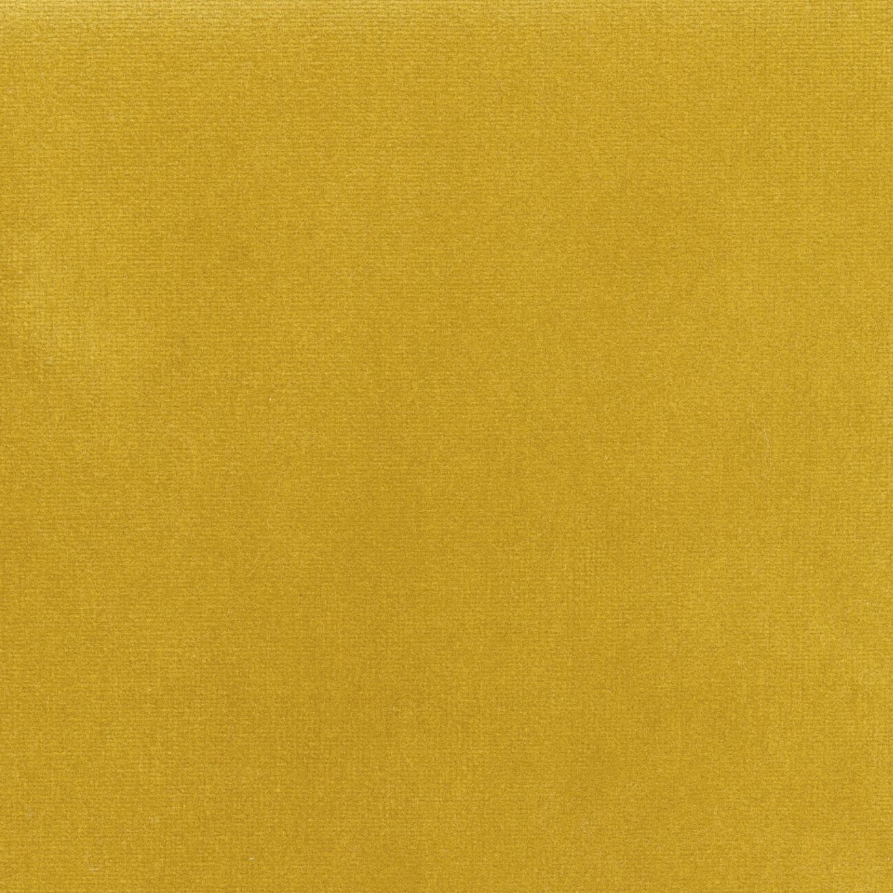 Бархатная однотонная ткань Élitis Palatine ARCH-00143253 - Вид №14