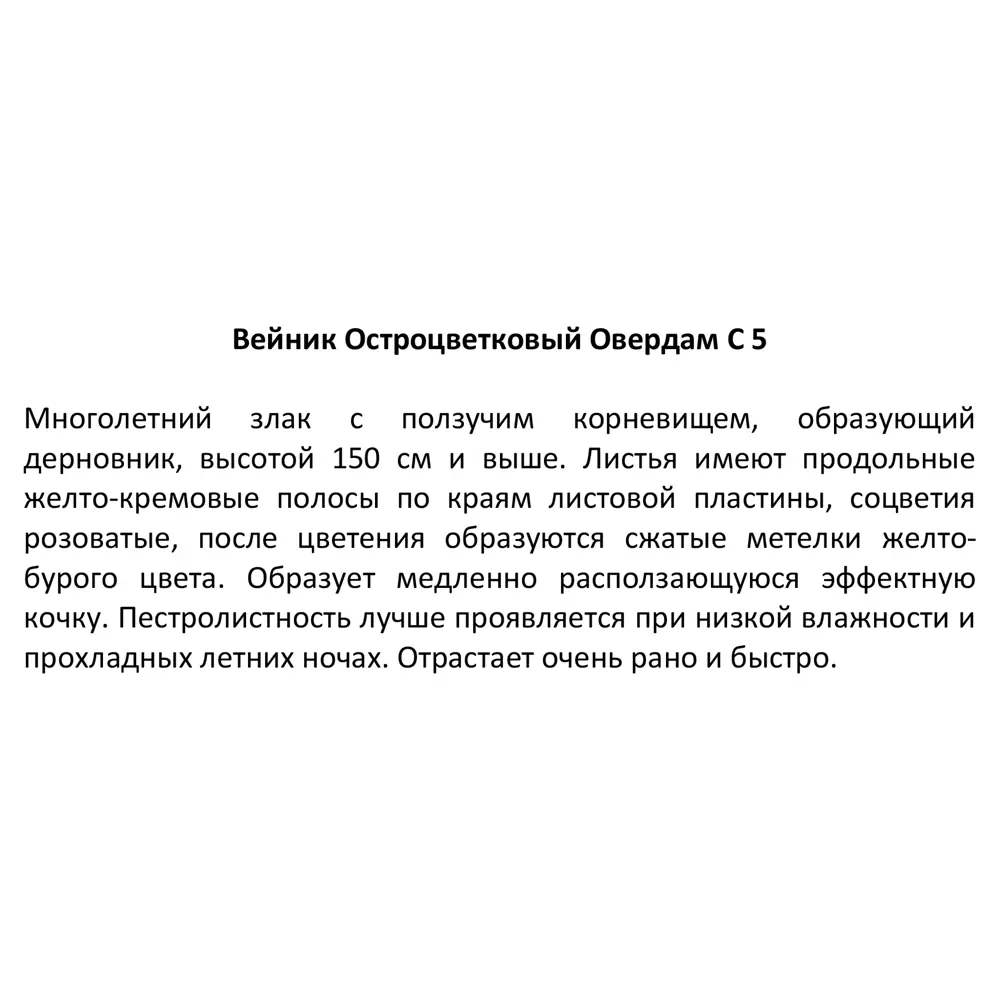 Вейник микс ø21.5 h50 см 85326854 STLM-2032682 Santreyd  - Вид №5