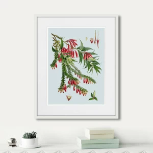 Картина в раме 52х42 см Himalaya Plants Red Flower Branch, 1869г. КАРТИНЫ В КВАРТИРУ  264421 Зеленый;розовый;разноцветный
