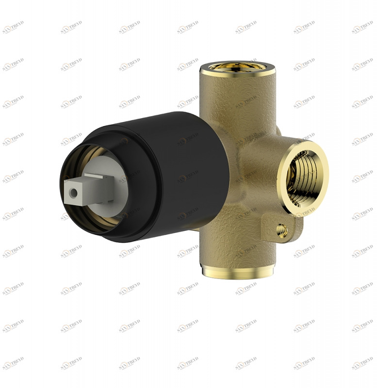 Внутреннее тело (1-функц) Rhein D999BW-ENG bravat 