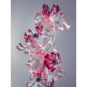 Картина на стекле "Цветы серые" 60x80 см 82924204 STLM-2030688
