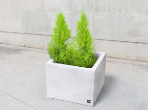 Бетонная квадратная плантатор