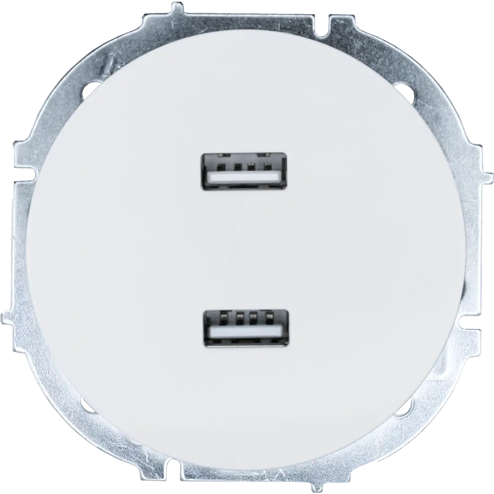 Розетка двойная USB встраиваемая Osen цвет белый 89424723 STLM-2212109 LEZARD - Вид №2