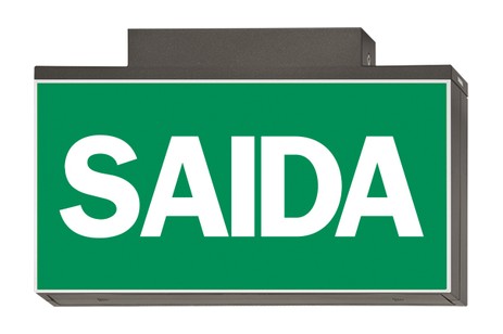 DST-739 Lisu ceiling-mounted Daisalux Светильники аварийные Металлический Серый 