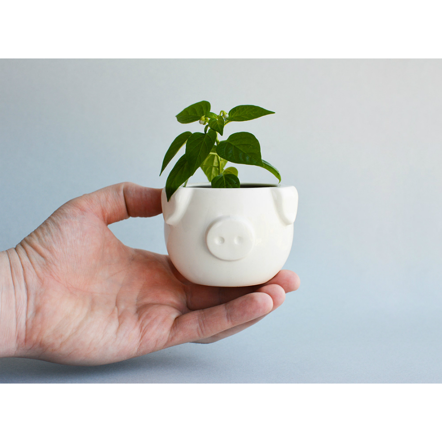 MIN-1-03 Набор для выращивания eco мини-кашпо «минипиг» Экочеловеки  - Вид №3