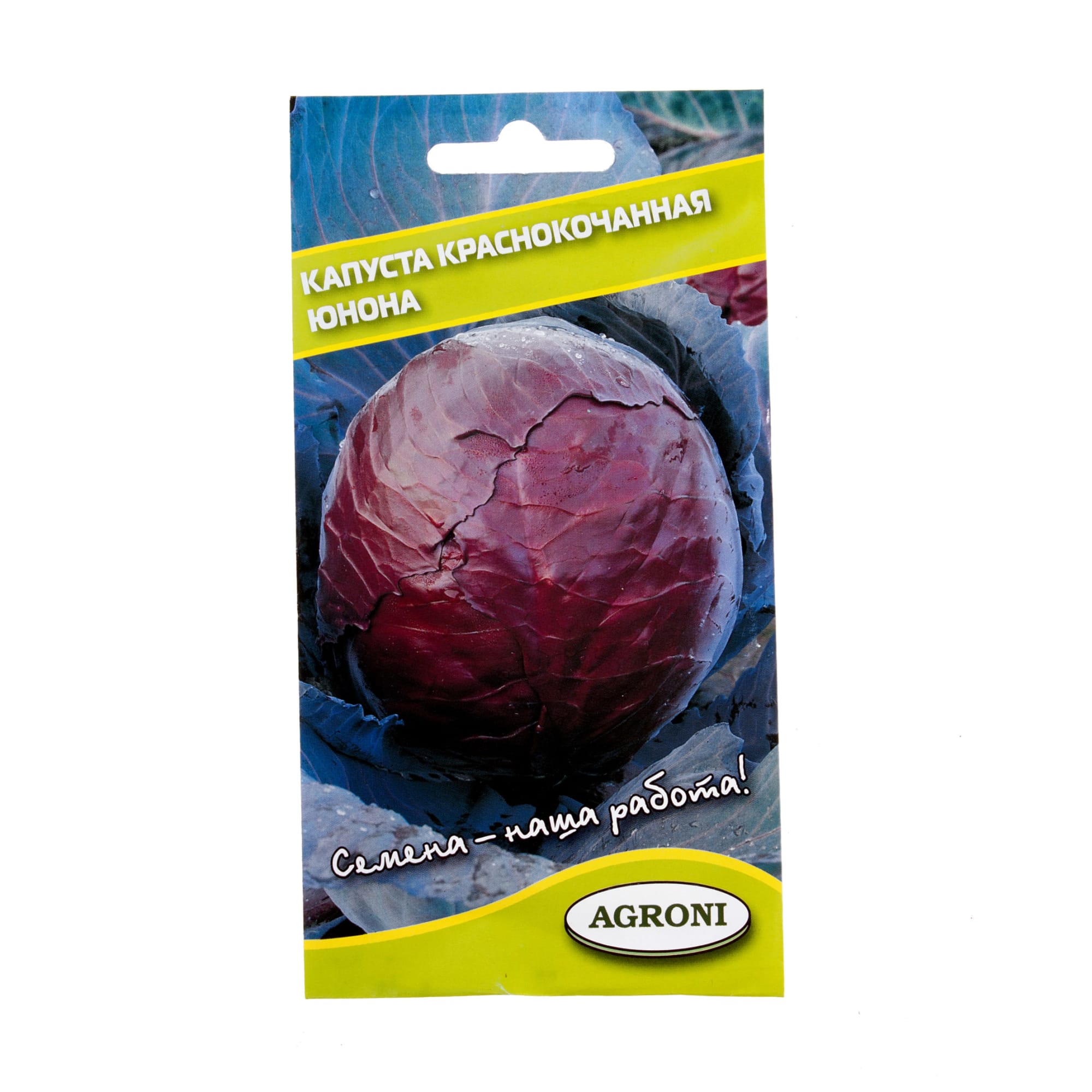 17251148 Семена Капуста краснокочанная «Юнона» Santreyd 