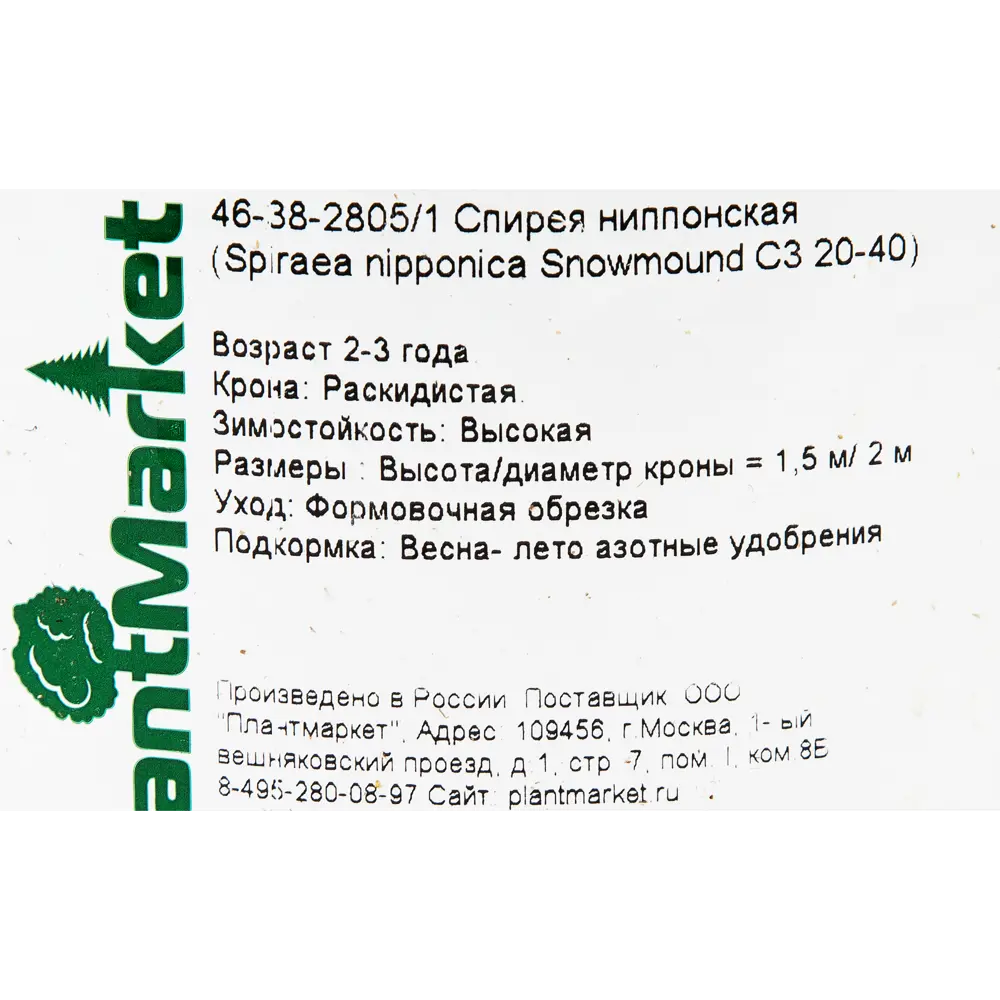 Спирея ниппонская «Сноумоунд» C3 20-40 см PLANTMARKET STLM-2113199 - Вид №1