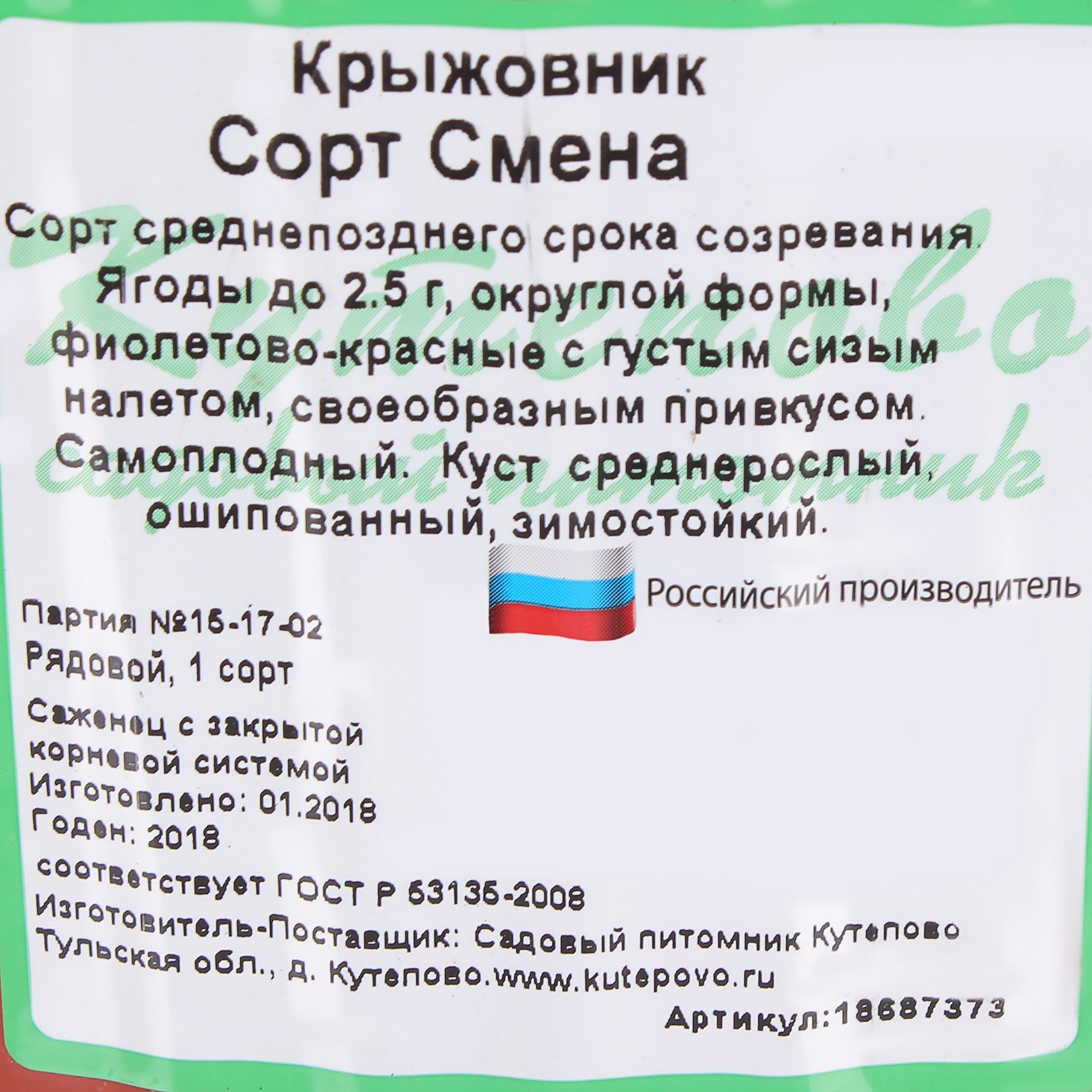 Крыжовник «Смена» 2-летний саженец в контейнере С25 18687373 Santreyd STLM-0012028 - Вид №2