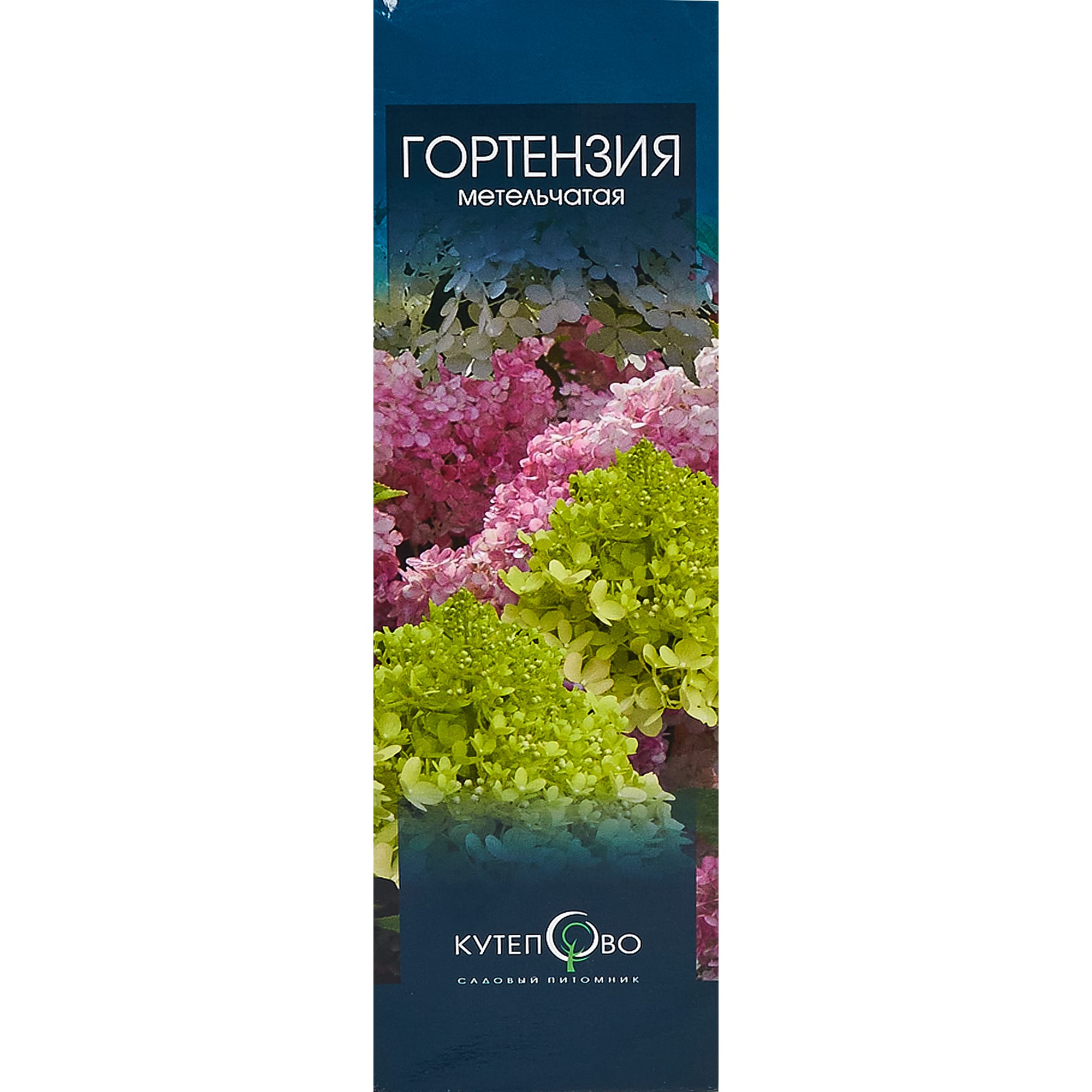 83539225 Гортензия метельчатая Пинки Винки 9x30 см Santreyd 