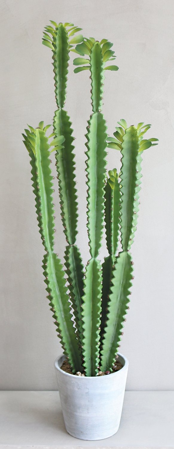 6063 883 a3 Молочай искусственный тригона, горшечный, 100 см, зеленый H-andreas  - Вид №5