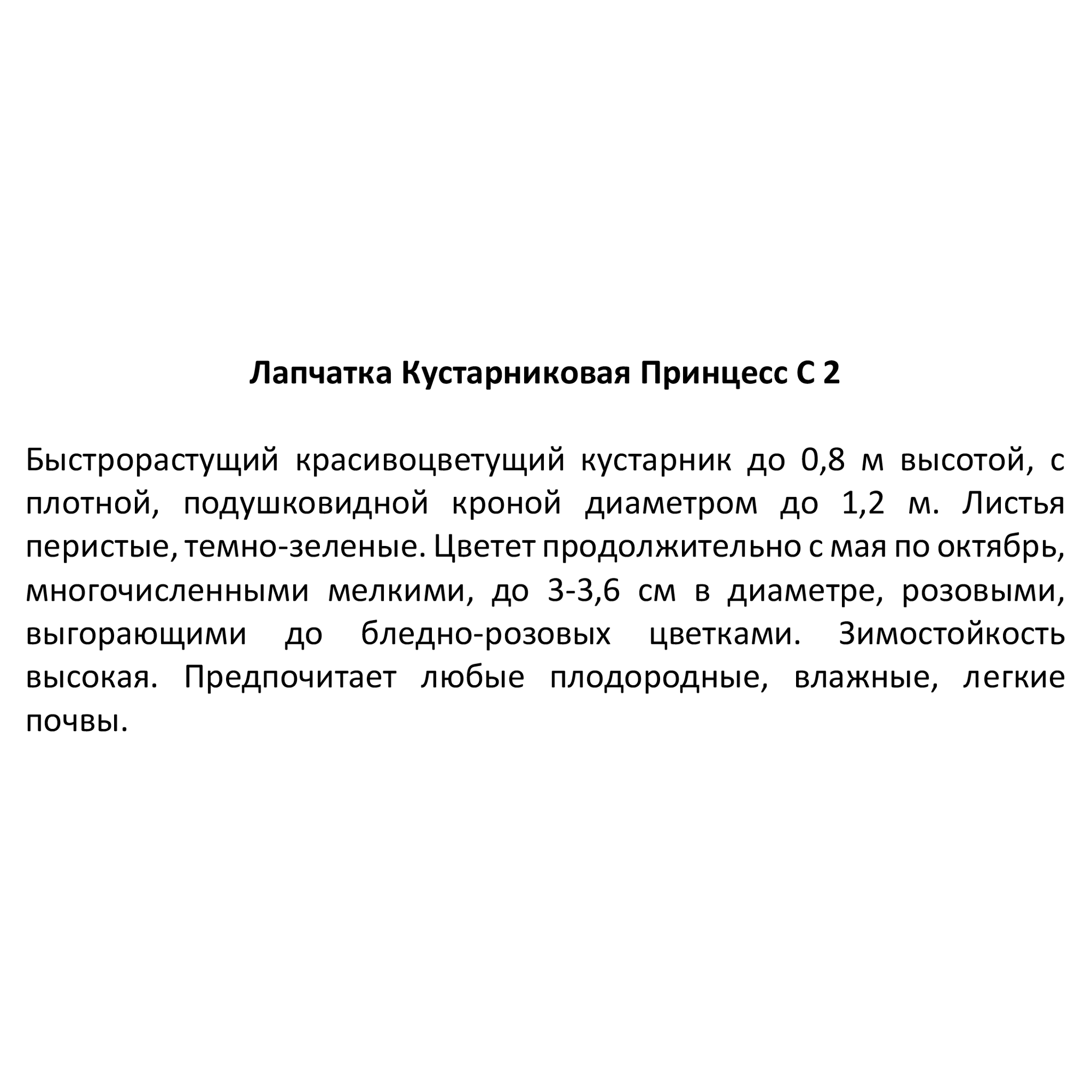 Лапчатка кустарниковая Santreyd - цветущий многолетник для сада 87811837 STLM-0075758 - Вид №2