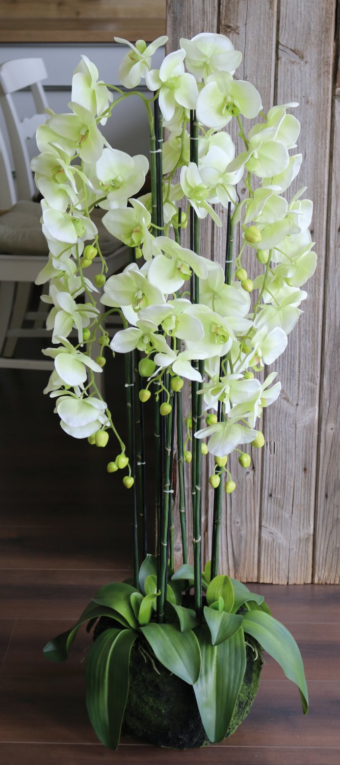 2860 788 a3 Искусственная орхидея Phalaenopsis с 'почвой', 9-кратная, 120 см, real touch, бежево-зеленая H-andreas  - Вид №8