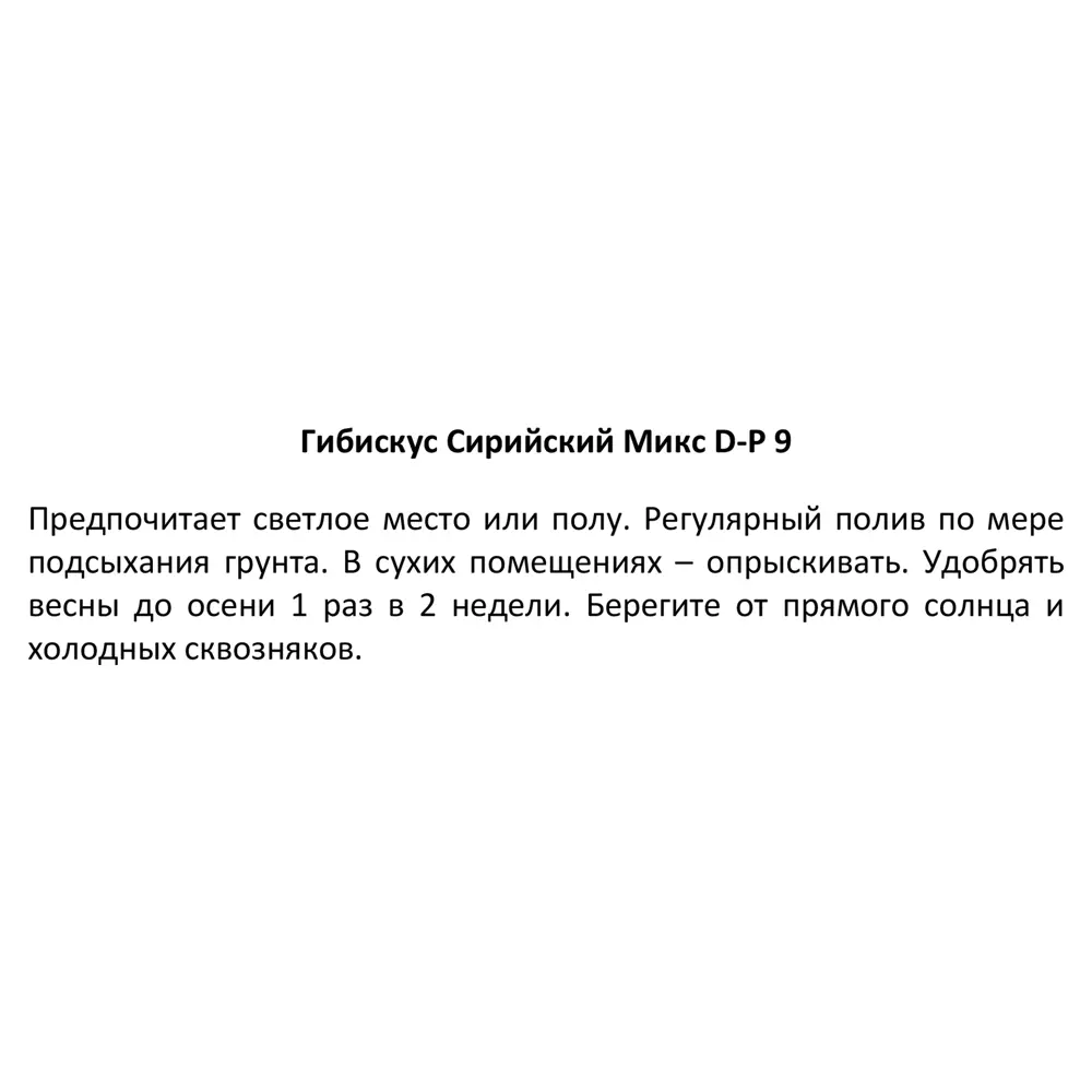Гибискус сирийский Santreyd - роскошный цветущий кустарник для сада 87718516 STLM-0075273 - Вид №2