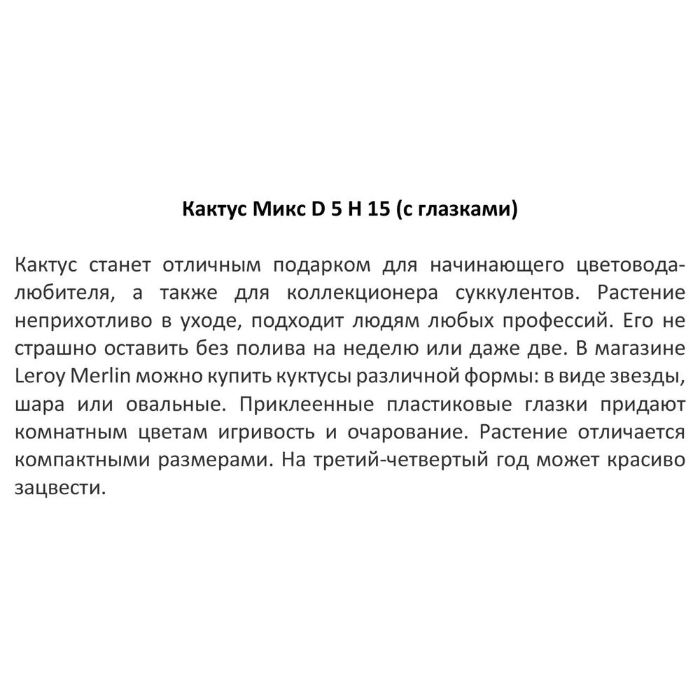 Santreyd Кактус с глазками - неприхотливый суккулент для интерьера 14470935 STLM-0004984 - Вид №2