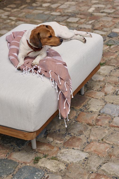 MNST259 Большая скамеечка для ног / из teakового дерева nero black Manutti Flex - Вид №3