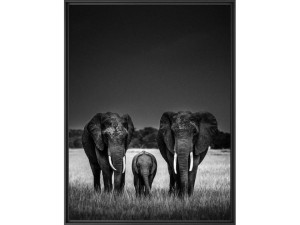 Печать фотографий на бумаге