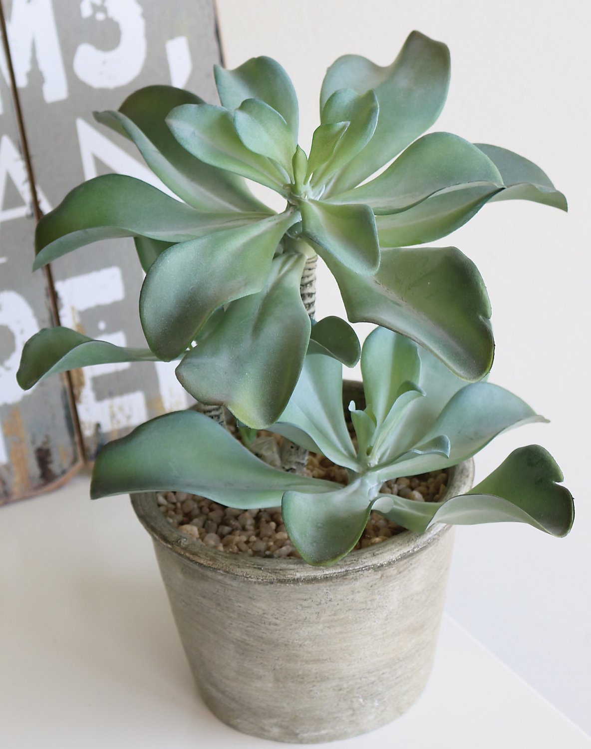 6046 883 a3 Искусственный суккулент, горшок, 25 см, зеленый H-andreas  - Вид №2