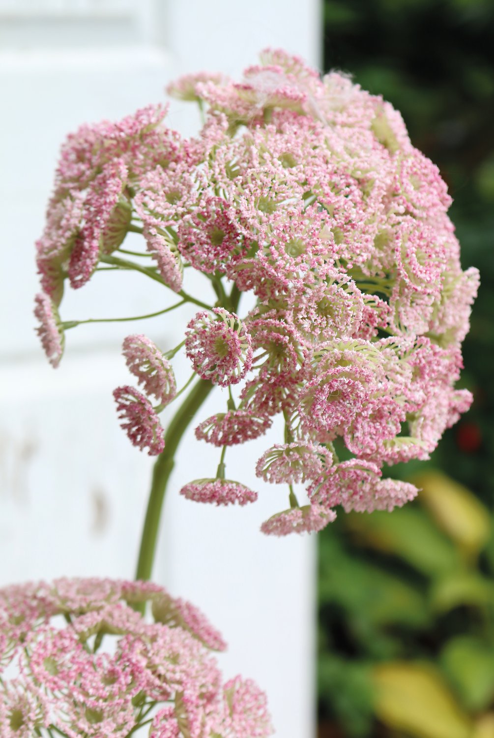 3305 510 a3 Искусственная дикая морковь, 83 см, розовая H-andreas  - Вид №4